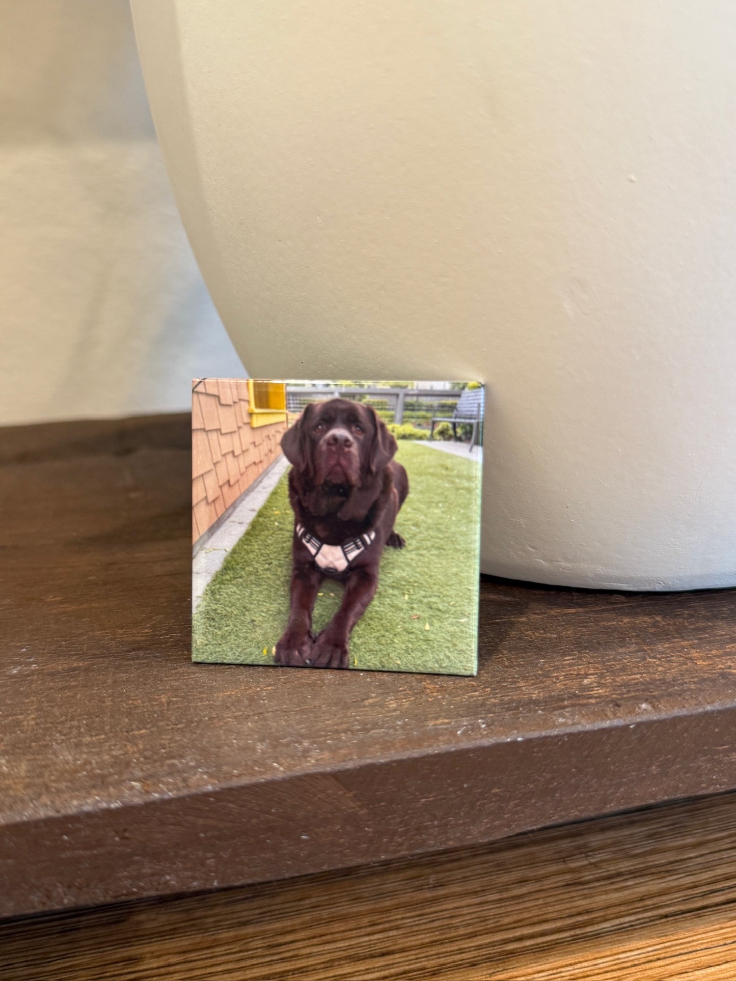 Custom Pressed Magnets — 2x2”